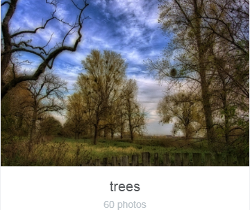 trees